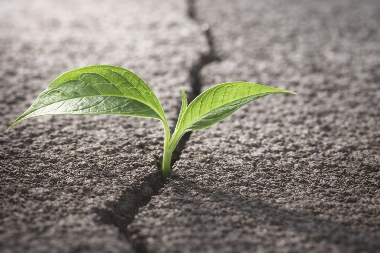 Lição 12 Jovens – Perseverando na Salvação