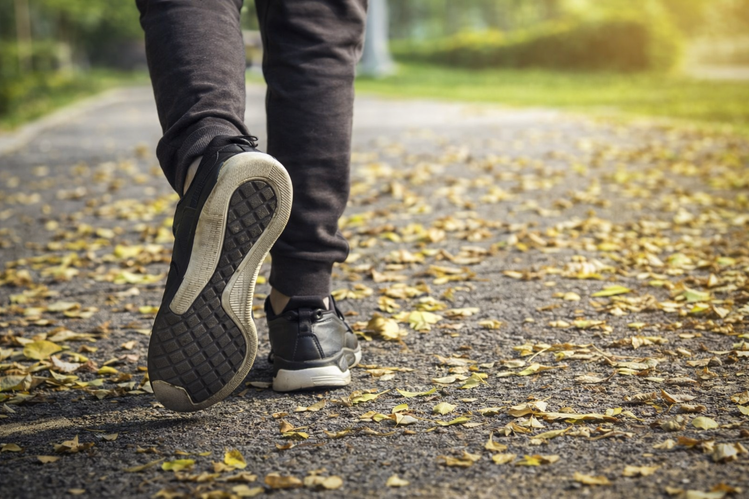 Lição 9 Jovens – O Livre-Arbítrio Na Salvação